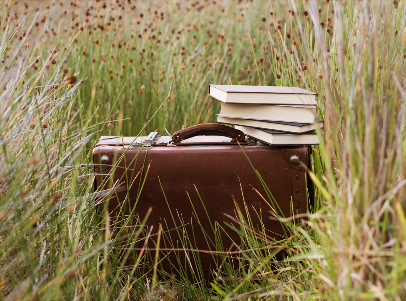 Stack of books on a suitcase surrounded by tall green grass