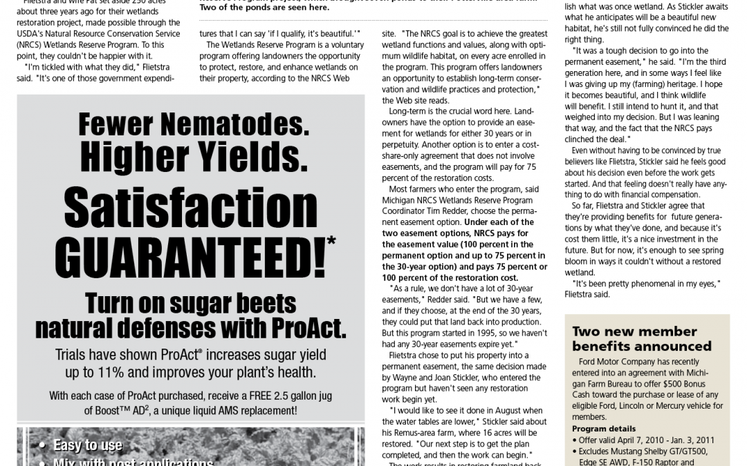 Restored Natural Beauty: Seeing is Believing