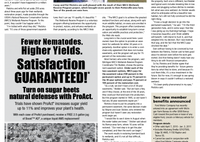 Restored Natural Beauty: Seeing is Believing