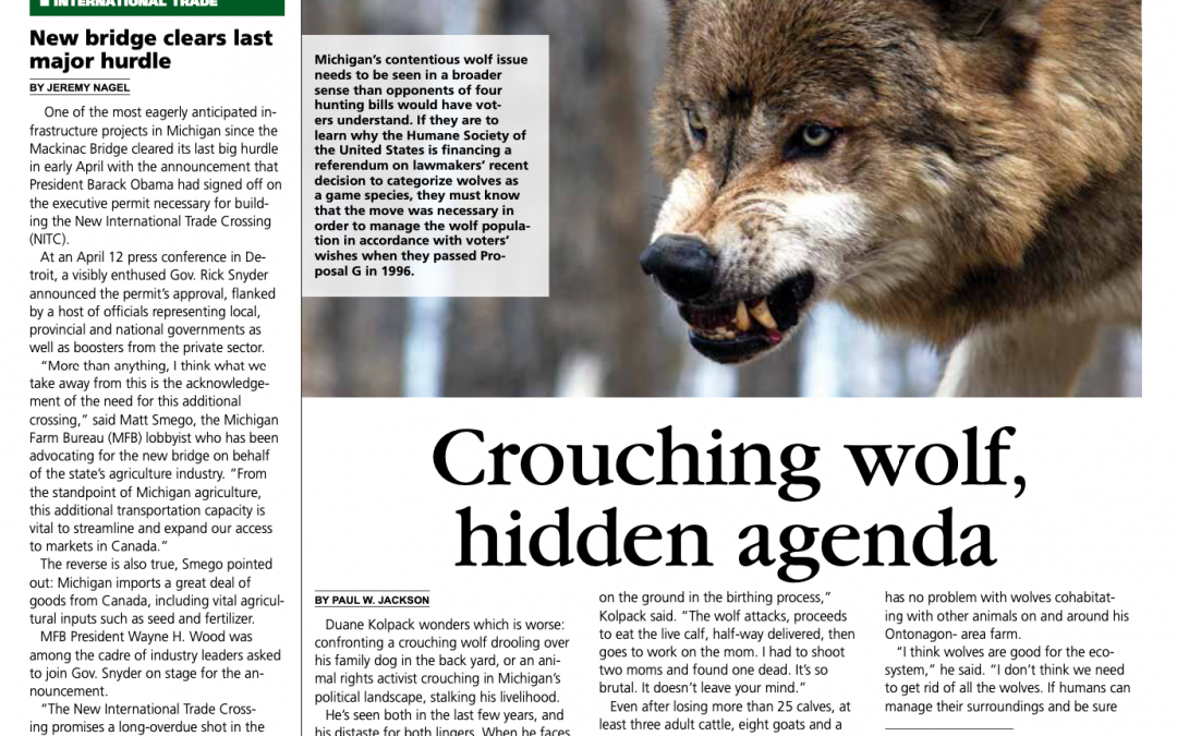 Crouching Wolf, Hidden Agenda